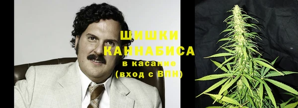 прущие грибы Алзамай