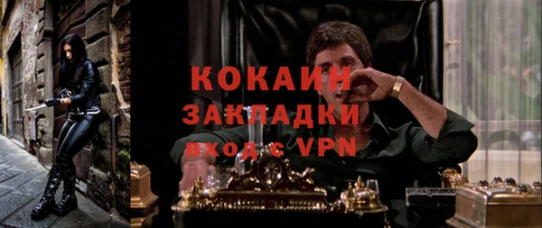 ГАЛЛЮЦИНОГЕННЫЕ ГРИБЫ Алексин