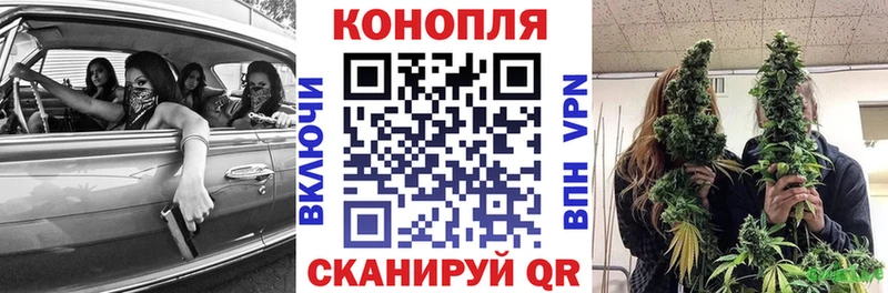 ссылка на мегу как войти  хочу   Данилов  Марихуана Amnesia 